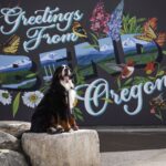 10 Things To Do With Your Dog In Bend