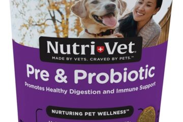 The Benefits Of Probiotic Dog Chews For Your Furry Friend
