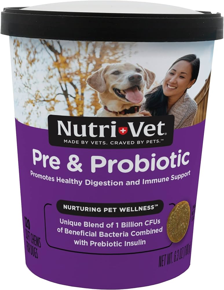 The Benefits Of Probiotic Dog Chews For Your Furry Friend